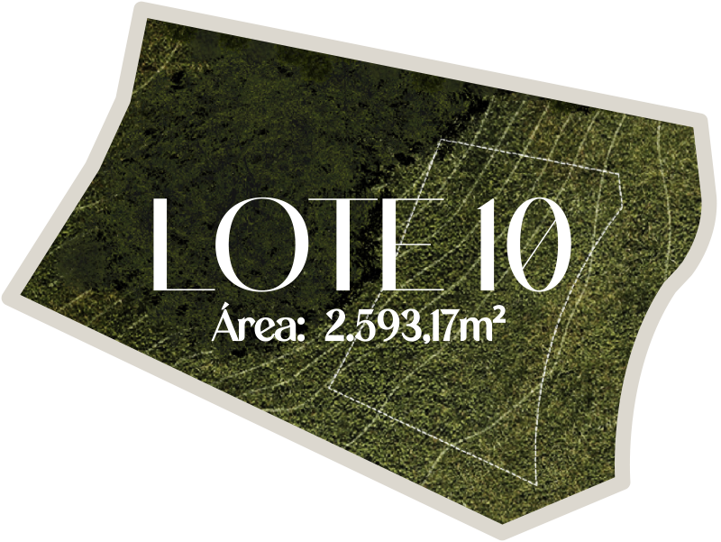 Lote 10