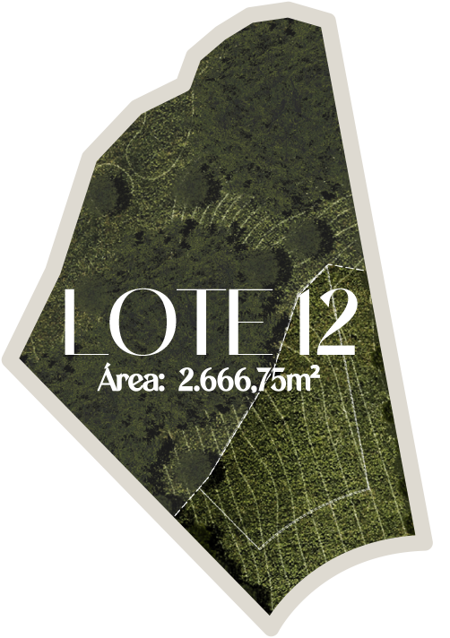 Lote 12