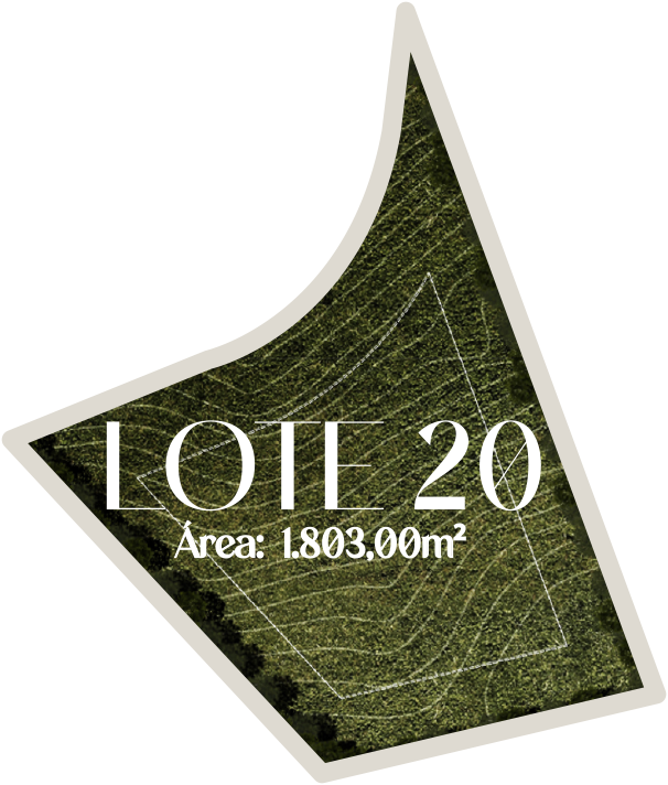 Lote 20